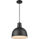R Series 1 Light 12 inch Satin Black Indoor Pendant Ceiling Light